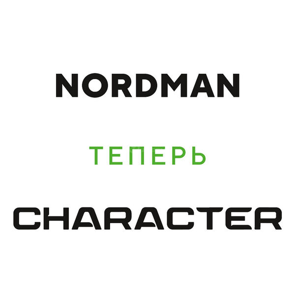 Шина Ikon NORDMAN 8 SUV 225/60 R18 104T в Казани