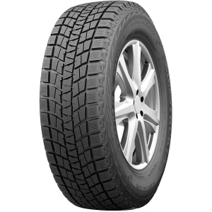 Шины Kapsen RW501  в  Казани 